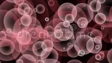 粉红红色勃艮第灰色无缝上升<strong>气泡</strong>漂浮和缓慢移动循环粒子<strong>气泡</strong>动画黑色背景。